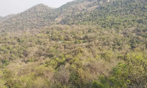 வனஉரிமை சான்றுக்கு தலைமுறைகள் கடந்தும் போராடும் மலைவாழ் மக்கள்வருமானம், வளர்ச்சியின்றி பரிதவிப்பு