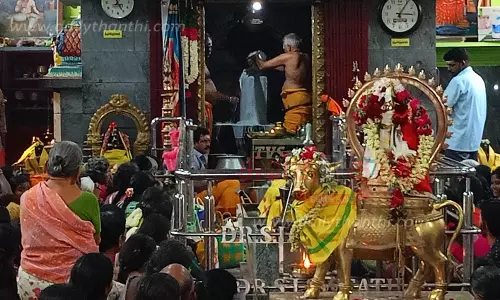 ஆடி மாத பிரதோஷத்தையொட்டிசிவன் கோவில்களில் சிறப்பு வழிபாடுஏராளமான பக்தர்கள் சாமி தரிசனம் ஆடி மாத பிரதோஷத்தையொட்டிசிவன் கோவில்களில் சிறப்பு வழிபாடுஏராளமான பக்தர்கள் சாமி தரிசனம்