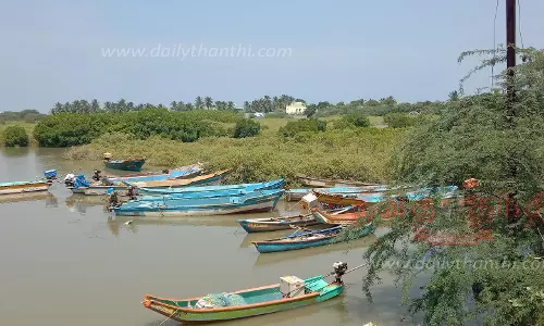 பக்கிங்காம் கால்வாயை தூர்வார வேண்டும்