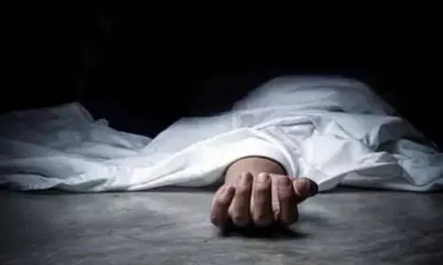 கும்மிடிப்பூண்டி அருகே தென்னை மரத்தில் இருந்து தவறி விழுந்த வாலிபர் சாவு