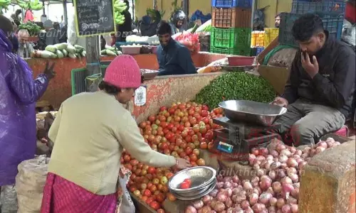 தக்காளி விலை மீண்டும் அதிகரிப்பு தக்காளி விலை மீண்டும் அதிகரிப்பு