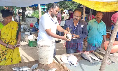 பாலக்கோடு பகுதியில்அசைவ உணவகங்களில் அதிகாரிகள் திடீர் ஆய்வுமார்க்கெட்டுகளில் கெட்டுப்போன மீன்கள் பறிமுதல்