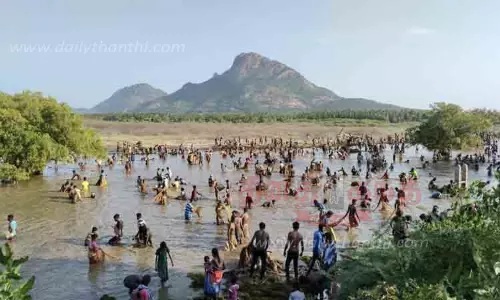 கண்மாயில் களைகட்டிய மீன்பிடி திருவிழா கண்மாயில் களைகட்டிய மீன்பிடி திருவிழா