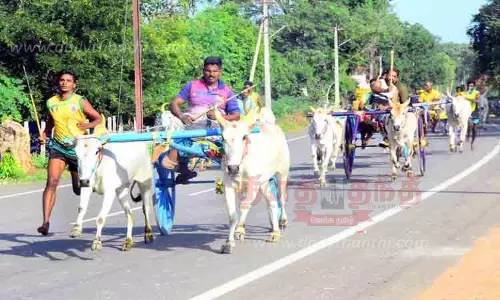 மாட்டுவண்டி பந்தயம் மாட்டுவண்டி பந்தயம்