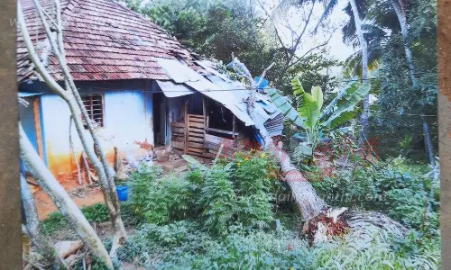 புதுக்கடை அருகே சூறைக்காற்றில் மரம் விழுந்து வீடு சேதம்