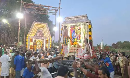 சின்ன சங்கரன்கோவிலில் ஆடித்தபசு விழா