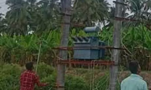 1,571 மரக்கிளைகள் வெட்டி அகற்றம்