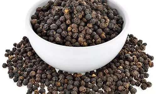 மிளகு விலை கிலோவுக்கு ரூ.83 அதிகரிப்பு மிளகு விலை கிலோவுக்கு ரூ.83 அதிகரிப்பு