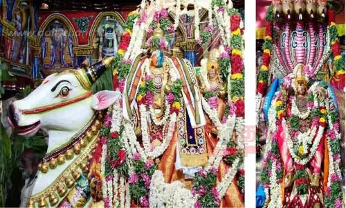 ஆடித்தபசு அலங்காரம்