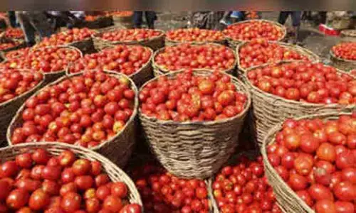 தக்காளி கிலோ ரூ.180-க்கு விற்பனை