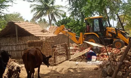 பண்ணப்பட்டி அருகே மயான ஆக்கிரமிப்பு அகற்றம்மீண்டும் கொட்டகை அமைத்ததால் பரபரப்பு