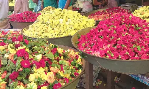 ஆடிப்பெருக்கை முன்னிட்டு திருச்சியில் பூக்கள் விலை கிடுகிடுவென உயா்வு ஆடிப்பெருக்கை முன்னிட்டு திருச்சியில் பூக்கள் விலை கிடுகிடுவென உயா்வு