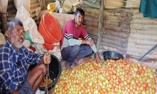 தக்காளி கிலோ ரூ.80-க்கு விற்பனை செய்யும் சகோதரர்கள்