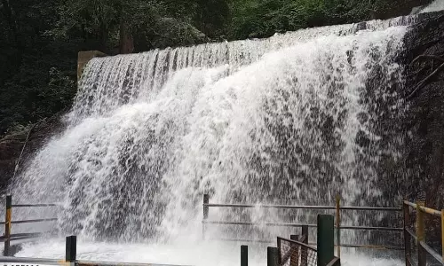 காட்டு யானைகள் நடமாட்டம் எதிரொலி; சுருளி அருவியில் குளிக்க சுற்றுலா பயணிகளுக்கு தடை