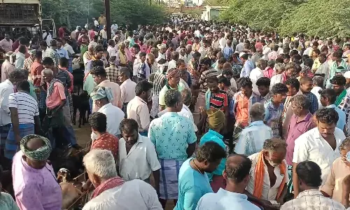 ரூ.2 கோடிக்கு ஆடுகள் விற்பனை
