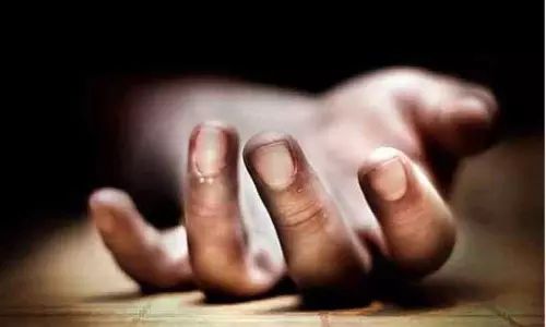 மரத்தில் இருந்து தவறி விழுந்த தொழிலாளி சாவு