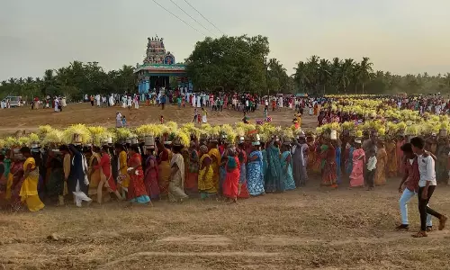 பிடாரியம்மன் கோவிலில் முளைப்பாரி விழா
