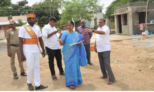 வளர்ச்சி பணிகளை கலெக்டர் ஆய்வு