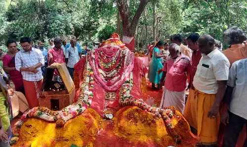 அங்காளபரமேஸ்வரி அம்மனுக்கு சிறப்பு பூஜை