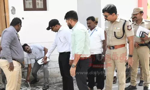 பனிமயமாதா ஆலய தங்கத்தேரோட்ட முன்னேற்பாடு பணிகளை கலெக்டர் ஆய்வு