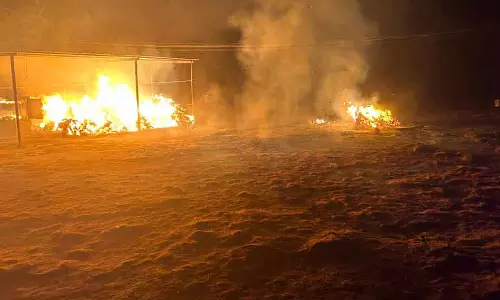 தென்னை நார் தொழிற்சாலையில் தீ