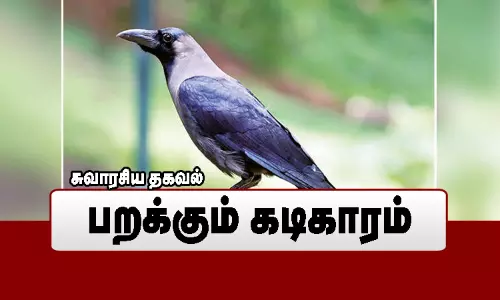 பறக்கும் கடிகாரம்..! பறக்கும் கடிகாரம்..!