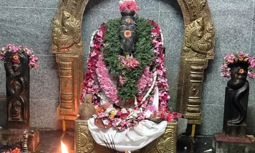 செல்வ விநாயகர் கோவிலில் சங்கடஹர சதுர்த்தி விழா