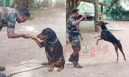 வனக்குற்றங்களை தடுக்க முதல் முறையாக மோப்ப நாய்