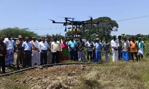 பருத்தி செடிகளுக்கு டிரோன் மூலம் மருந்து தெளிக்கும் பணி