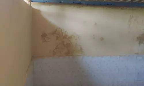 :மின்சாரம் பாய்ந்து மாணவி காயம்