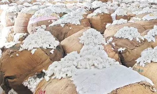 எடப்பாடி ஒழுங்குமுறை விற்பனை கூடத்தில்ரூ.33 லட்சத்துக்கு பருத்தி விற்பனை