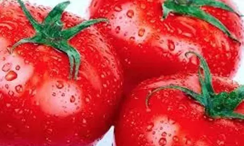 சேலத்தில் உழவர் சந்தைகளில்தக்காளி கிலோ ரூ.80-க்கு விற்பனைவிலை குறைந்ததால் இல்லத்தரசிகள் மகிழ்ச்சி