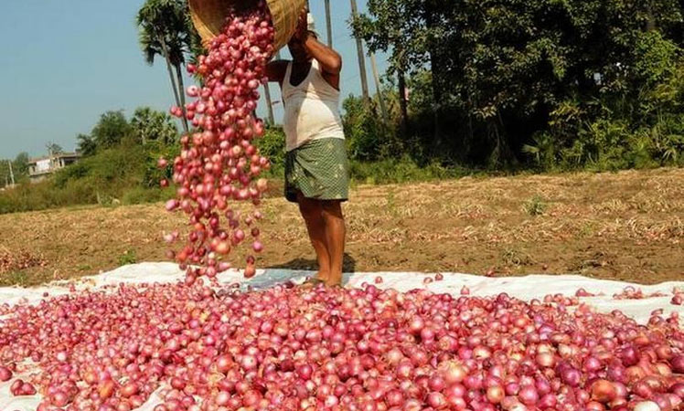 இல்லத்தரசிகளுக்கு மேலும் ஒரு இடி: தக்காளியை தொடர்ந்து வெங்காய விலையும் அதிகரிக்கும் என தகவல்