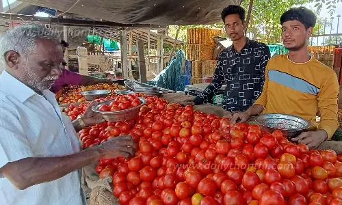 குடியாத்தத்தில் ஒரு கிலோ தக்காளி ரூ.80-க்கு விற்பனை