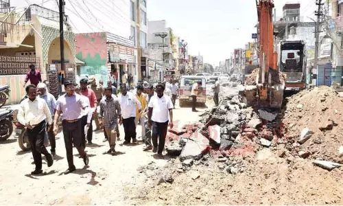 சிமெண்டு சாலை அமைக்கும் பணியை கலெக்டர் ஆய்வு