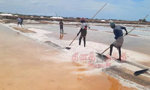 வெயிலின் தாக்கத்தால் உப்பு உற்பத்தி அதிகரிப்பு