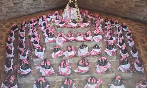 தென்பசியார்நாகஅங்காளம்மன் கோவிலில் ஆடி அமாவாசை திருவிழா108 விநாயகருக்கு சிறப்பு யாகத்துடன் தொடங்கியது