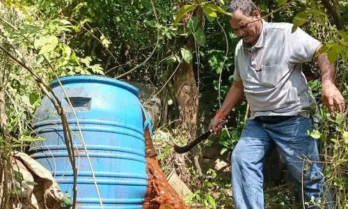 2 ஆயிரம் லிட்டர் சாராய ஊறல் அழிப்பு