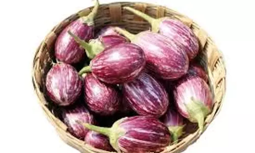 வரத்து குறைந்ததால்தர்மபுரியில் கத்தரிக்காய் விலை உயர்வுஉழவர் சந்தையில் கிலோ ரூ.25-க்கு விற்பனை