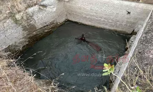 கிணற்றில் தத்தளித்த மிளா மீட்பு