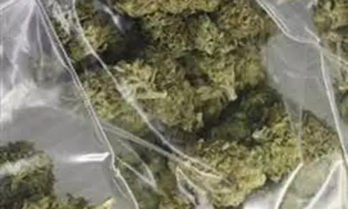 சேலம் வழியாக சென்றரெயிலில் 6½ கிலோ கஞ்சா பறிமுதல்