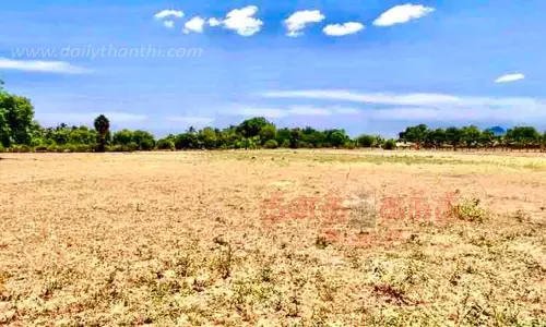 கொட்டாம்பட்டி பகுதிகளில் பருவமழை தாமதத்தால் ஆடிப்பட்டம் சாகுபடியில் ஆர்வம் காட்டாத விவசாயிகள் கொட்டாம்பட்டி பகுதிகளில் பருவமழை தாமதத்தால் ஆடிப்பட்டம் சாகுபடியில் ஆர்வம் காட்டாத விவசாயிகள்