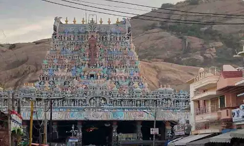 திருப்பரங்குன்றம் கோவிலில் பிரசாதமாக லட்டு,புளியோதரை,பொங்கல்- 11-ந்தேதியில் இருந்து வழங்கப்படுகிறது