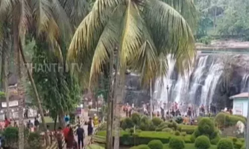 வார விடுமுறையையொட்டி திற்பரப்பு அருவியில் குவிந்த சுற்றுலா பயணிகள் வார விடுமுறையையொட்டி திற்பரப்பு அருவியில் குவிந்த சுற்றுலா பயணிகள்
