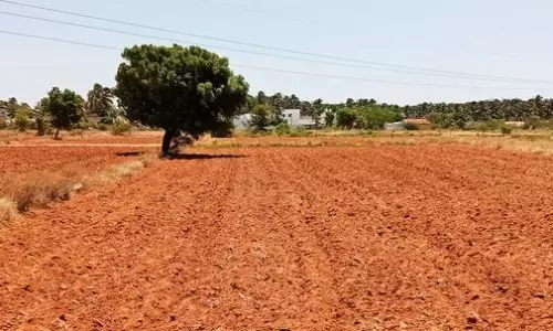 மழை இல்லாததால் தரிசாக கிடக்கும் விளைநிலங்கள்