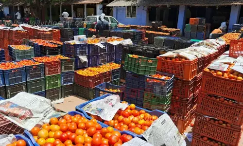 தக்காளி விலை வீழ்ச்சி