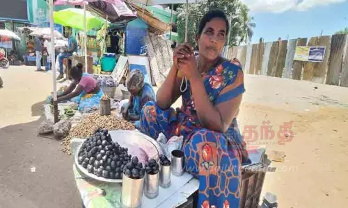 நாட்டு நாவல் பழ விற்பனை விறுவிறுப்பு நாட்டு நாவல் பழ விற்பனை விறுவிறுப்பு