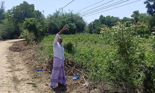 தாழ்வாக செல்லும் மின்கம்பிகள்