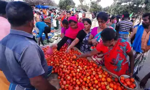 பாம்பன் வாரச்சந்தையில் தக்காளி ரூ.90-க்கு விற்பனை