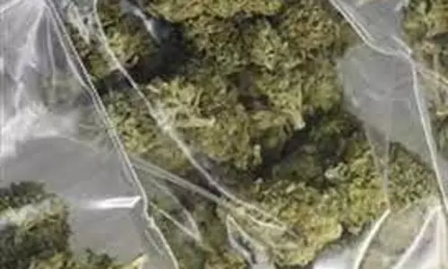 பொட்டலம் போட்டு கஞ்சா விற்க முயற்சி;பெண் உள்பட 7 பேர் கைது பொட்டலம் போட்டு கஞ்சா விற்க முயற்சி;பெண் உள்பட 7 பேர் கைது